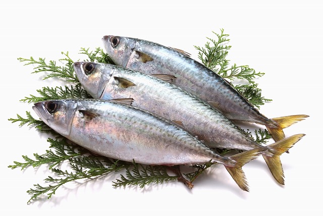 アニサキスが発見されやすい魚